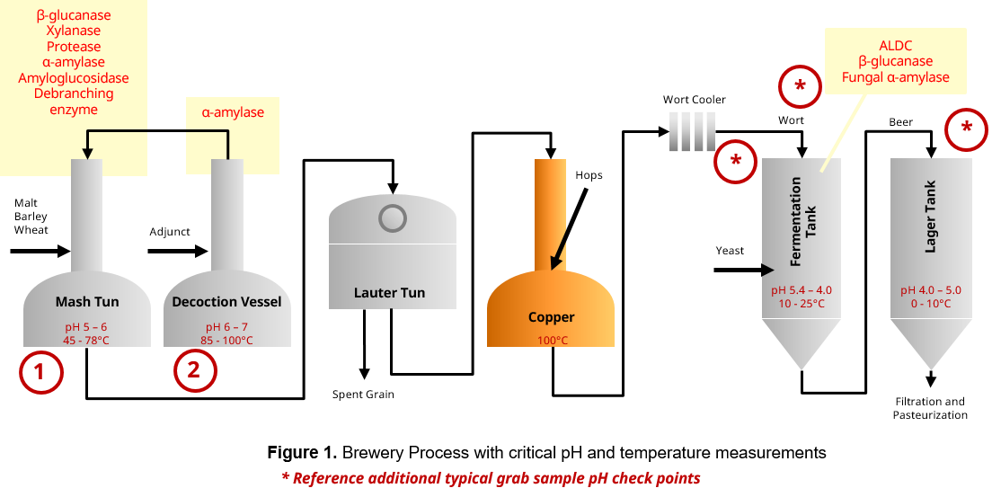 Brewery Process with critical pH and temperature measurements